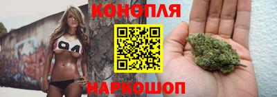 гидра Рыбинск